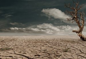 Κλιματική κρίση: Πάμε σε όλο και πιο θερμά έτη &#8211; Η ξηρασία το μεγαλύτερο πρόβλημα