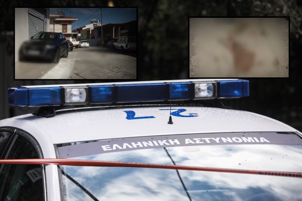 Βοιωτία: Προθεσμία να απολογηθεί την Πέμπτη έλαβε ο αστυνομικός για τη δολοφονία του 17χρονου Ρομά