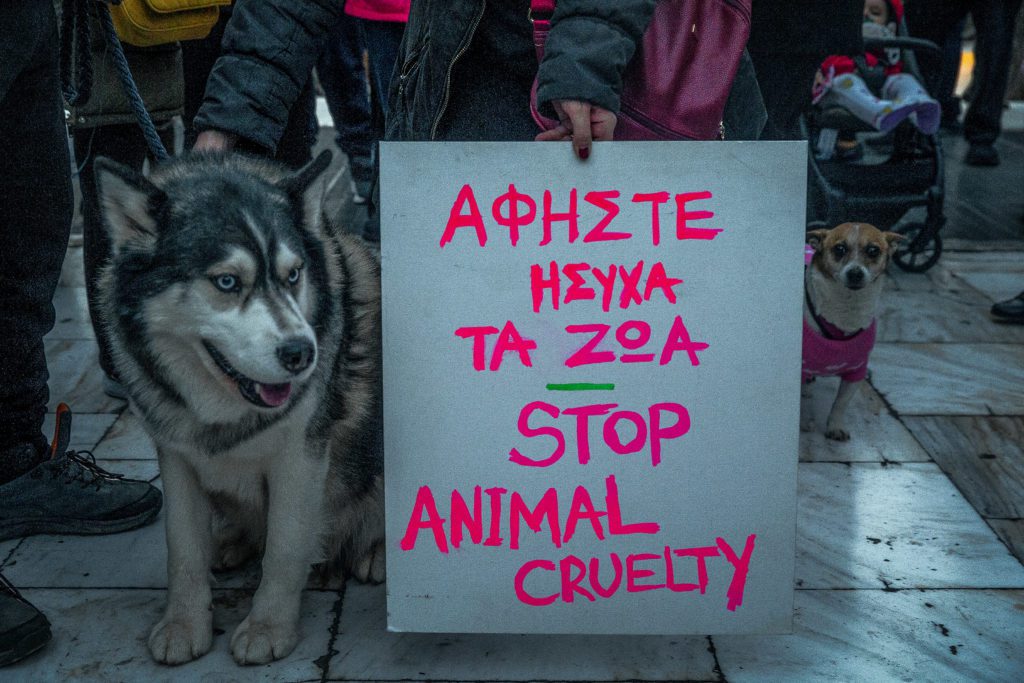 Αράχωβα: Δημοσιογράφος κατέθεσε για το θάνατο του Ολιβερ και την ίδια μέρα το σκυλί της έφαγε φόλα