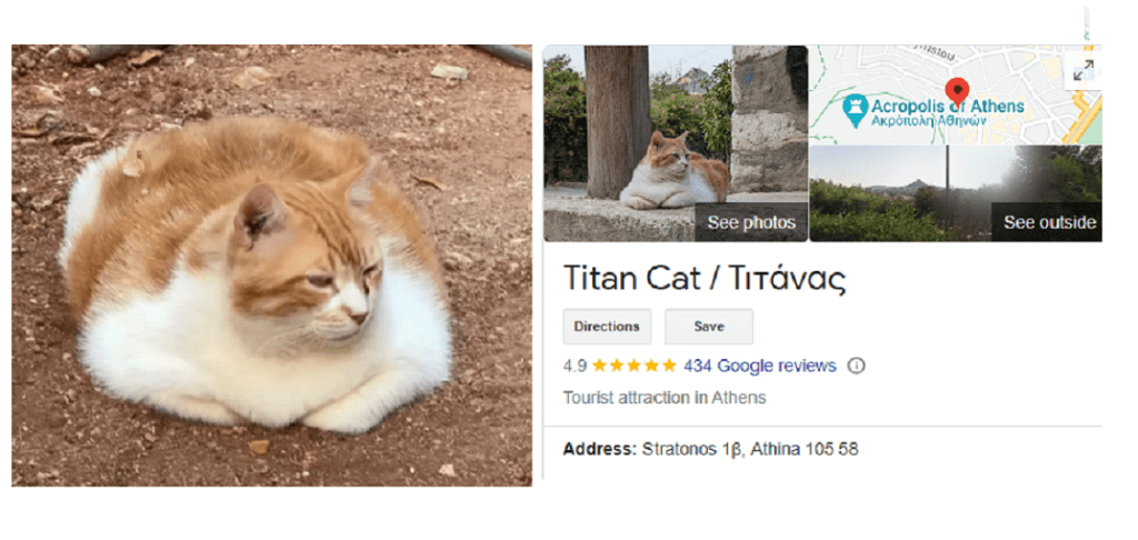 «Τιτάνας»: Ατραξιόν στο Google Maps ο ευτραφής γάτος, στη σκιά της Ακρόπολης (Photos-Video)