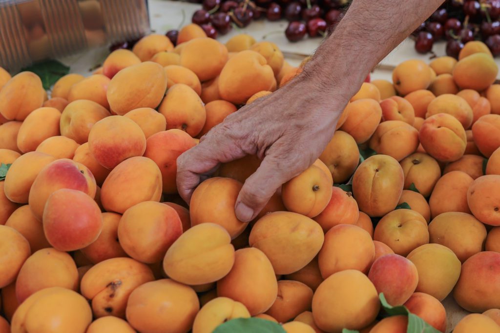 Εξαγωγές: Ανάρπαστα τα ελληνικά φρούτα και λαχανικά το 2023 – Εσπασαν κάθε ρεκόρ