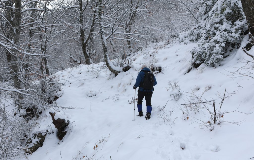 Χιονίζει στα ορεινά της Εύβοιας – Δεν θα λειτουργήσουν μέχρι την Τετάρτη τα σχολεία στον Δήμο Μαντουδίου – Αγίας ‘Αννας και Λίμνης