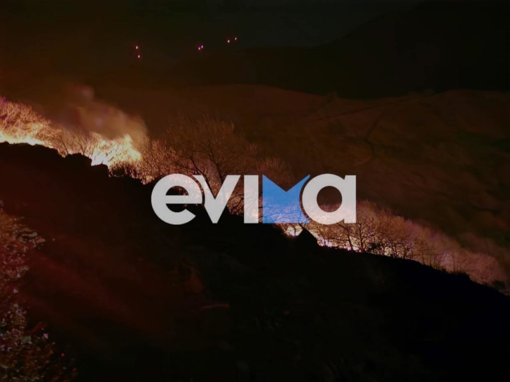 Φωτιά στην Εύβοια: Καίει δασική έκταση – Μεγάλη κινητοποίηση