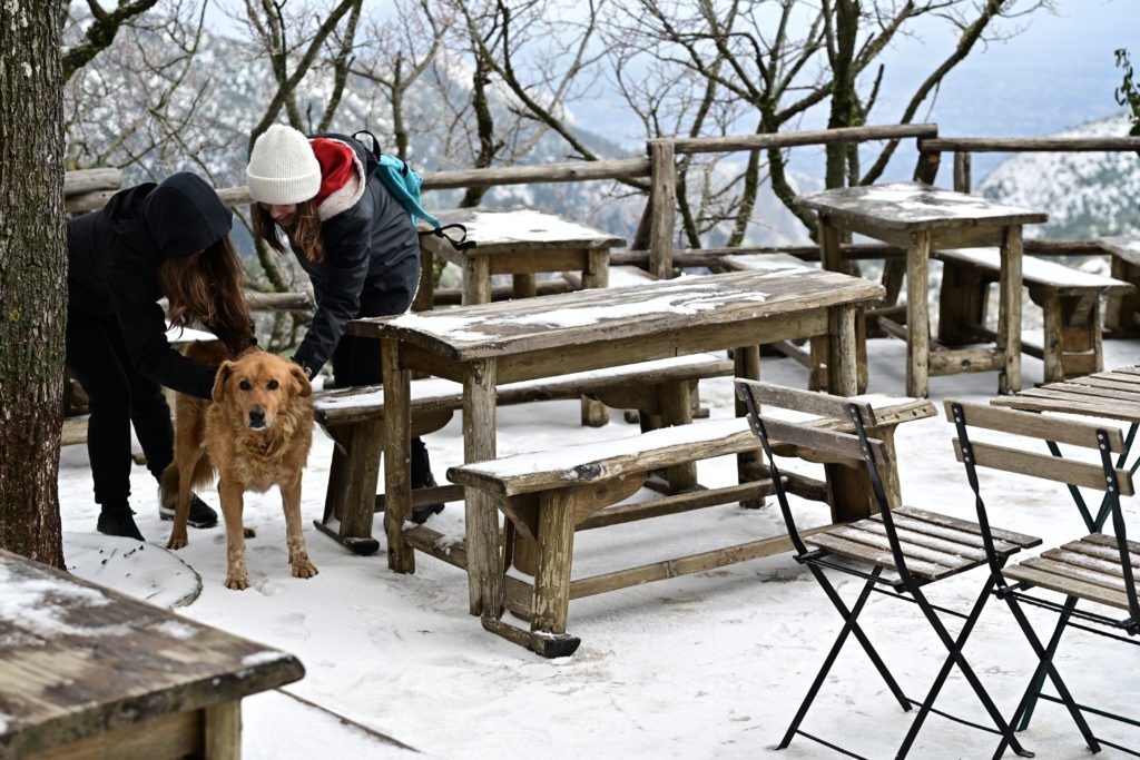 Χιόνισε και πάλι στην Πάρνηθα (Photos)