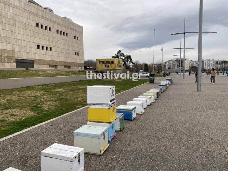Μελισσοκόμοι: Συμβολική διαμαρτυρία στη Θεσσαλονίκη – Εστησαν κυψέλες στον Λευκό Πύργο (Video)