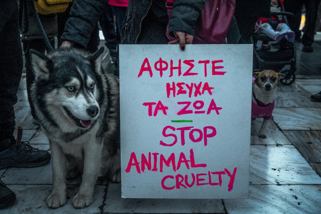 Αράχωβα: Νέα στοιχεία για τη δολοφονία του Όλιβερ δείχνουν «γνωστό πρόσωπο» (Video)