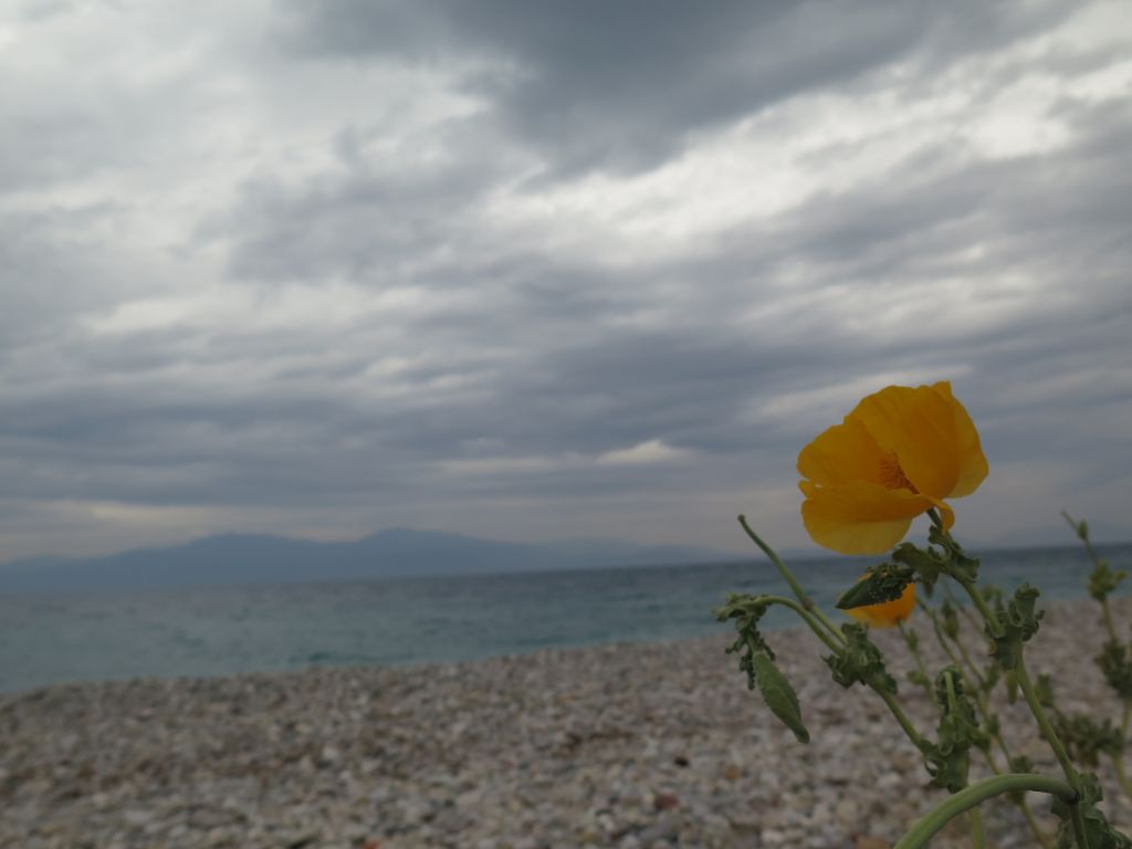 Καιρός: Αλλάζει το σκηνικό – Βροχές, πτώση της θερμοκρασίας και… αφρικανική σκόνη