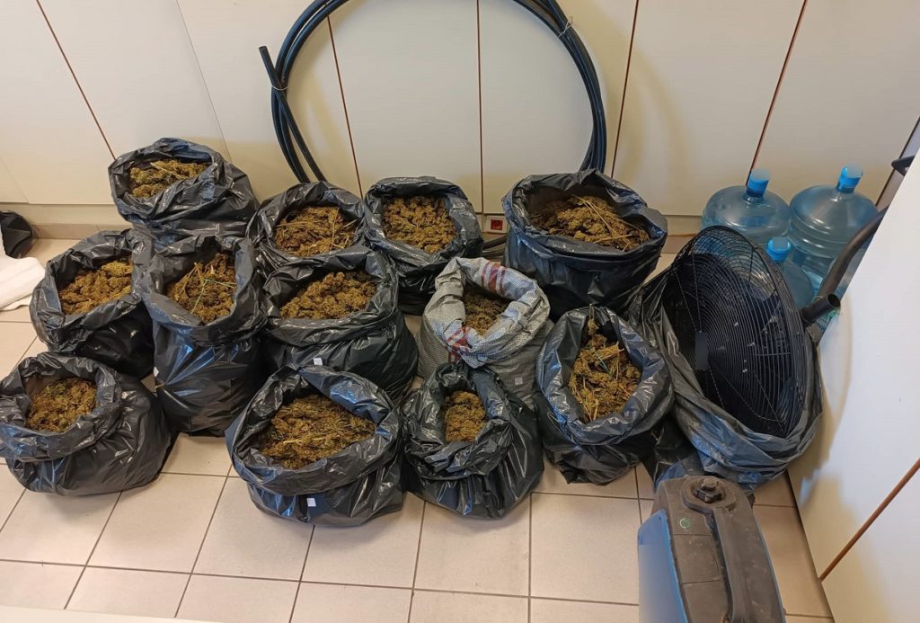 Τροιζήνα: Βρέθηκαν 48 κιλά κάνναβης σε βαρέλια και σακούλες – Δύο συλλήψεις