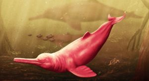 Αμαζόνιος: Ανακαλύφθηκε προϊστορικό γιγαντιαίο δελφίνι (Video)
