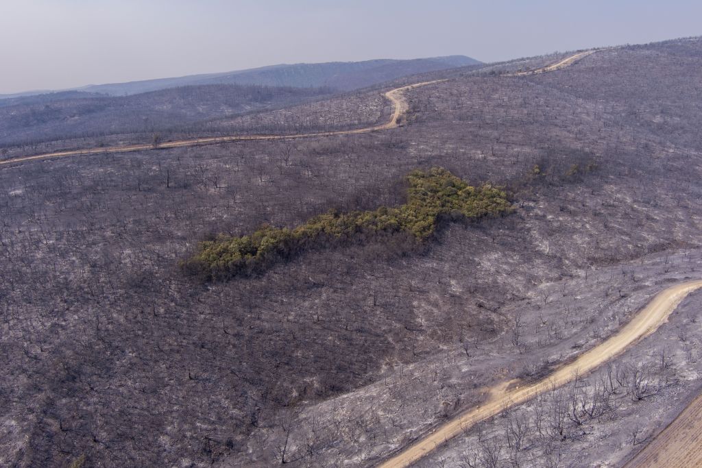 Κλιματική κρίση: Σήμα κινδύνου για την Ευρώπη από το Copernicus – Aκραία θερμική επιβάρυνση, μεγάλες δασικές πυρκαγιές