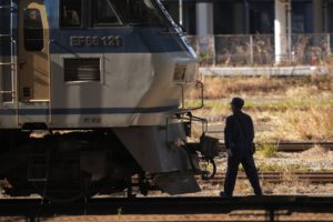 Φίδι 40 εκατοστών «μπλόκαρε» τρένο υψηλής ταχύτητας στην Ιαπωνία