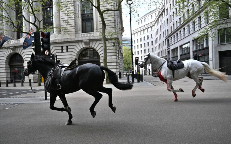 Αναστάτωση στο Λονδίνο: Άλογα του Βασιλικού Ιππικού έτρεχαν στους δρόμους – Το ένα καλυμμένο με αίμα (Video)