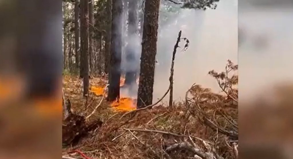 Πιέρια Όρη: Κάηκαν 2.500 στρέμματα μεικτού δάσους – Μαίνεται για 4η ημέρα η φωτιά (Video)