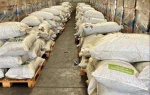 Εντοπίστηκαν φύλλα κοκαΐνης μέσα σε φορτία λιπασμάτων στο λιμάνι του Πειραιά