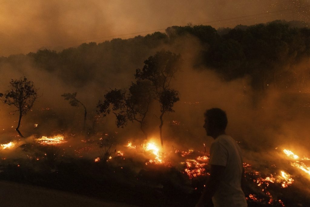 Δαδιά: Αποκαλυπτική έρευνα της Κομισιόν – «Η μεγαλύτερη πυρκαγιά στην Ευρώπη από το 1980»