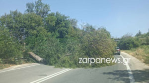 Χανιά: Έπεσαν δέντρα από τους ισχυρούς ανέμους &#8211; Διακόπηκε η κυκλοφορία στον ΒΟΑΚ
