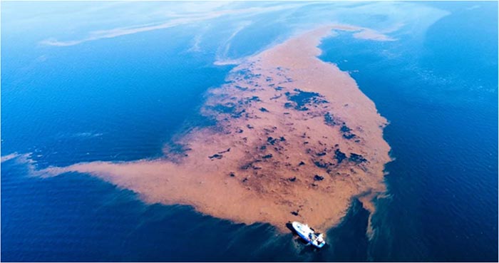 Πλημμύρες Θεσσαλία: Φερτά υλικά από τον κάμπο μπαζώνουν τον Παγασητικό – Δημιούργησαν νησίδα