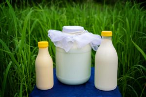 Ίχνη του H5N1 εντοπίστηκαν σε παστεριωμένο αγελαδινό γάλα στις ΗΠΑ
