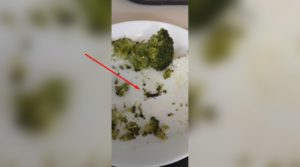 Καταγγελία: Φοιτητής βρήκε έντομο σε σαλάτα στη λέσχη του ΑΠΘ (Photos)