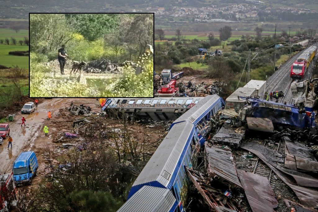 Έγκλημα Τέμπη: Εκπαιδευμένοι σκύλοι ξεψαχνίζουν το οικόπεδο στη Λάρισα – «Εάν υπάρχουν ανθρώπινα υπολείμματα θα τα εντοπίσουμε»