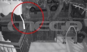 Αργυρούπολη: Κάμερα έπιασε στα «πράσα» κλέφτη&#8230; μπουγάδας &#8211; Τι λέει ο ιδιοκτήτης του σπιτιού (Video)