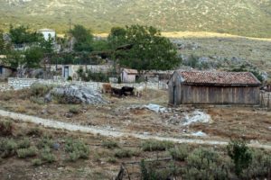 Κιλκίς: Δίωξη για ανθρωποκτονία με δόλο στον 54χρονο κτηνοτρόφο