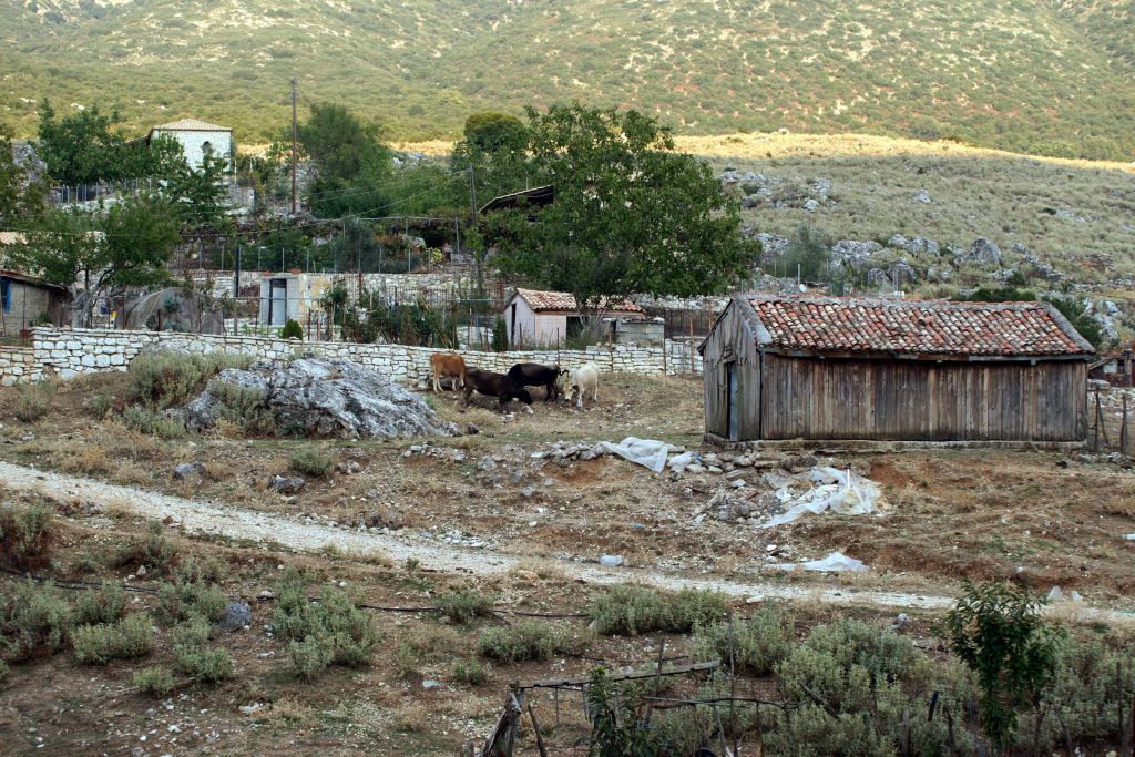 Θρίλερ στο Κιλκίς: Νεκρός 45χρονος άντρας από πυροβολισμούς σε κτηνοτροφική μονάδα