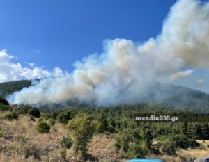 Σπάρτη: Φωτιά στην περιοχή Μαυροβούνι Λακωνίας
