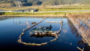 Πλημμύρες Θεσσαλία: Μήνυση σε Αγοραστό, ΥΠΕΝ, ΟΣΕ από ιδιοκτήτη πτηνοτροφικής μονάδας