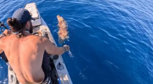 Βγήκε με κανό για ψάρεμα και βρήκε σκύλο να κολυμπάει ανοιχτά της Πάρου &#8211; Η απίστευτη διάσωση (Video)