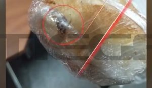 Σχολικά γεύματα: Σάντουιτς με κατσαρίδες και μουχλιασμένο ψωμί &#8211; Νέες σοκαριστικές καταγγελίες (Video)