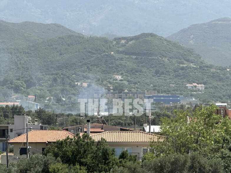 Πάτρα: Φωτιά τώρα στο Πλατάνι, κοντά σε σπίτια – Εκκενώθηκε σχολείο (Photos – Video)