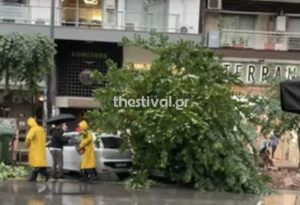 Ισχυρή νεροποντή στη Θεσσαλονίκη &#8211; Έπεσαν δέντρα στο κέντρο της πόλης (Video)