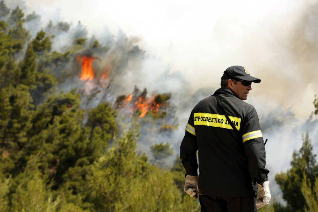 «Υπό έλεγχο» η φωτιά στην Αγία Τριάδα Βοιωτίας λέει ο αντιπεριφερειάρχης