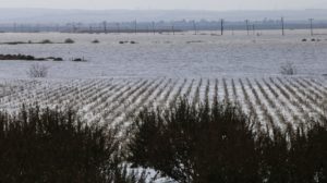 Πλημμύρες Θεσσαλία: Αγρότες μηνύουν Αγοραστό, Κικίλια και Τριαντόπουλο
