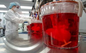 Μασαχουσέτη: Πέθανε ο πρώτος ασθενής που έλαβε γενετικά τροποποιημένο νεφρό από χοίρο