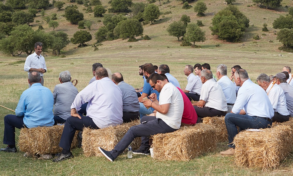 Η φέτα 15 ευρώ, το λάδι 14 ευρώ, ο σανός τζάμπα