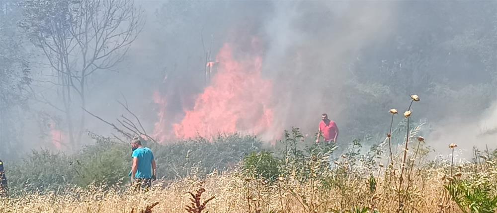 Πυρκαγιά σε χαμηλή βλάστηση στον Ασπρόπυργο