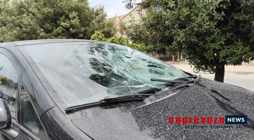 Πρέβεζα: Πήγε να αποφύγει επίθεση από σκύλο και τον χτύπησε αυτοκίνητο (Photos)