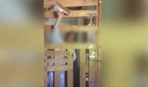 «Κωσταλέξι» στην Καλαμάτα: Συνελήφθησαν οι γονείς της 29χρονης που ζούσε 7 χρόνια σε ξύλινο κλουβί (Video)