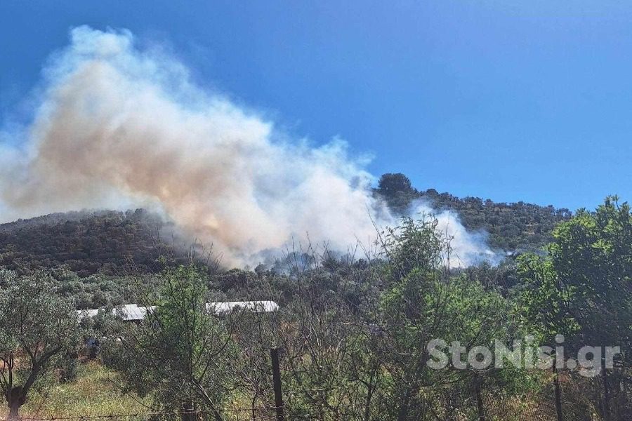 Λέσβος: Μεγάλη φωτιά σε ελαιώνα στη Μόρια