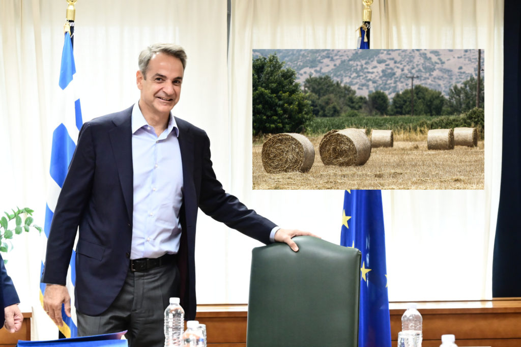 Όχι άλλο σανό…