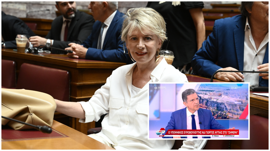 Το καυστικό σχόλιο της Έλενας Ακρίτα για τη… σύνταξη που εξασφάλισε ο Γιώργος Αυτιάς