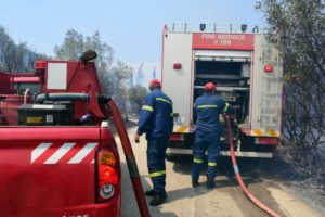 Φωτιά τώρα στη Μονεμβασιά &#8211; Σε αγροτοδασική έκταση