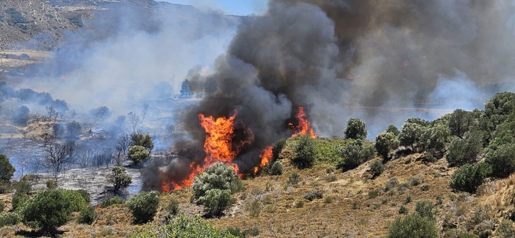 Μάχη με τις φλόγες στην Κω – Εκκενώθηκαν ξενοδοχεία στην Καρδάμαινα (Videos – Photos)