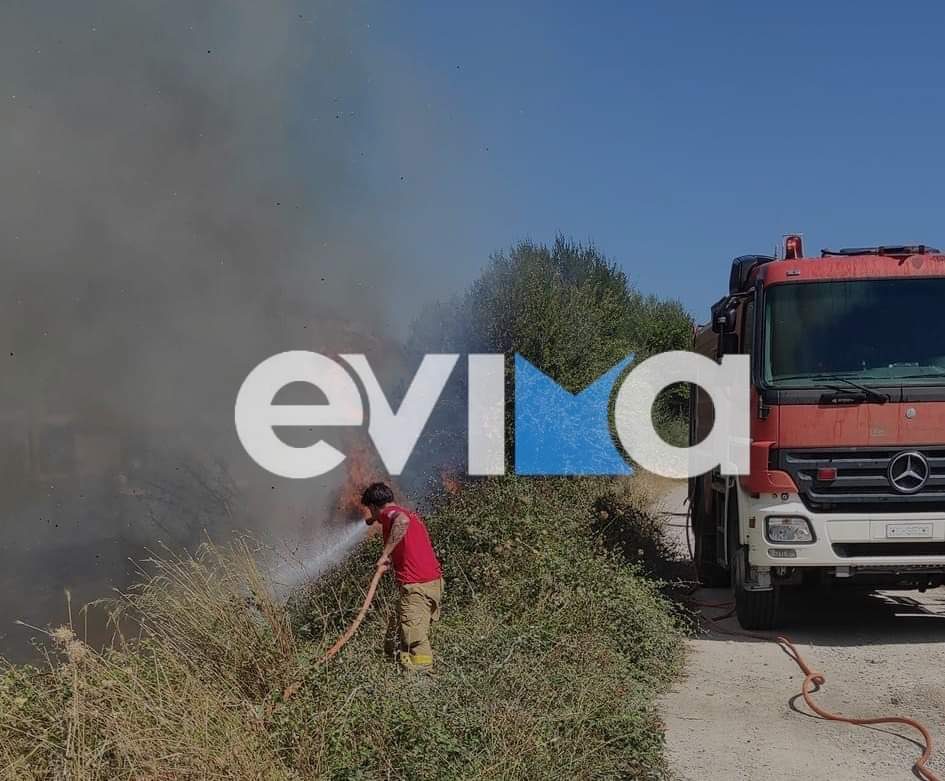 Χαλκίδα: Πυρκαγιά στο Καλοχώρι Αυλίδας