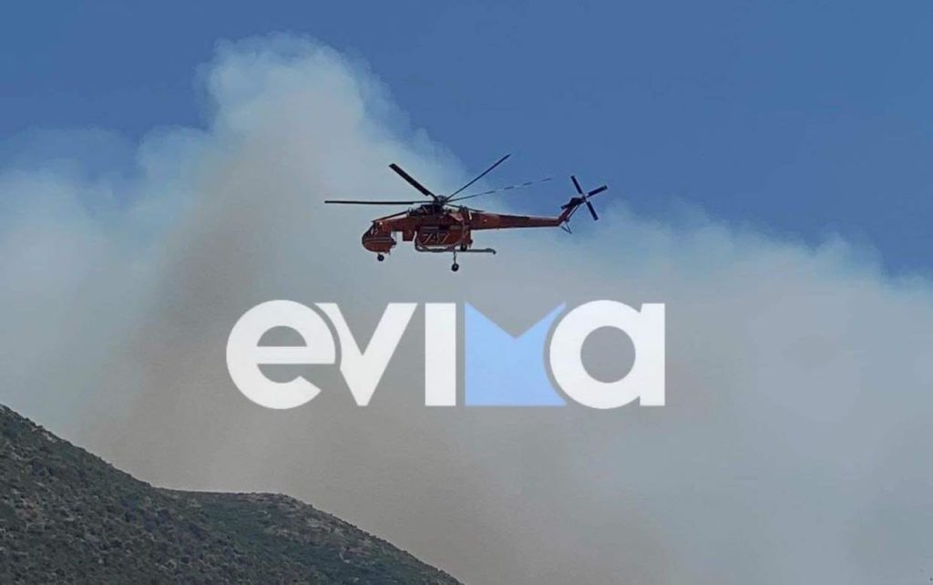 Φωτιά τώρα στον Βατώντα Ευβοίας