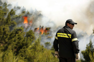 Kιθαιρώνας: Υπό πλήρη έλεγχο η φωτιά