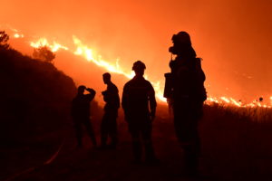 Φωτιά σε δασική έκταση στο Βελανίδι Ηλείας &#8211; Ισχυροί άνεμοι στην περιοχή