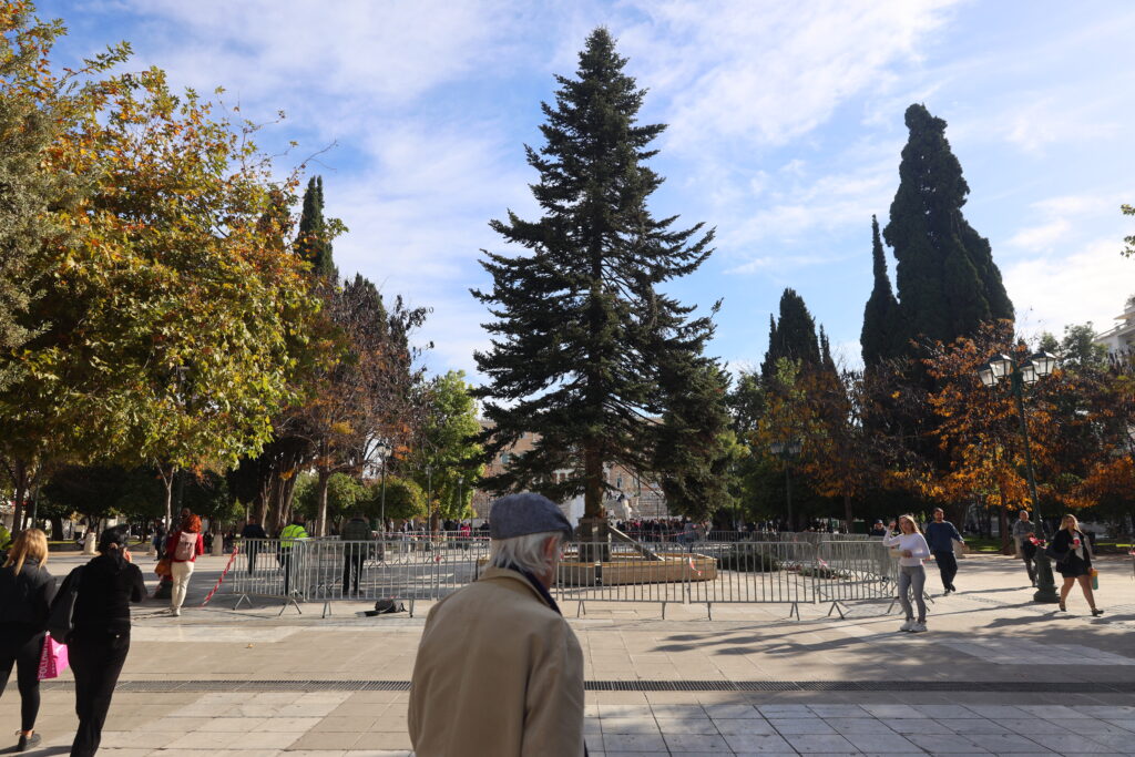 Την Πέμπτη η Αθήνα ανάβει το χριστουγεννιάτικο δέντρο της – Ποιοι δρόμοι και πάρκα θα φωτιστούν εορταστικά
